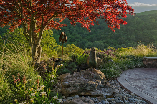 Ayurvedic Treatment: Staying Safe During Covid