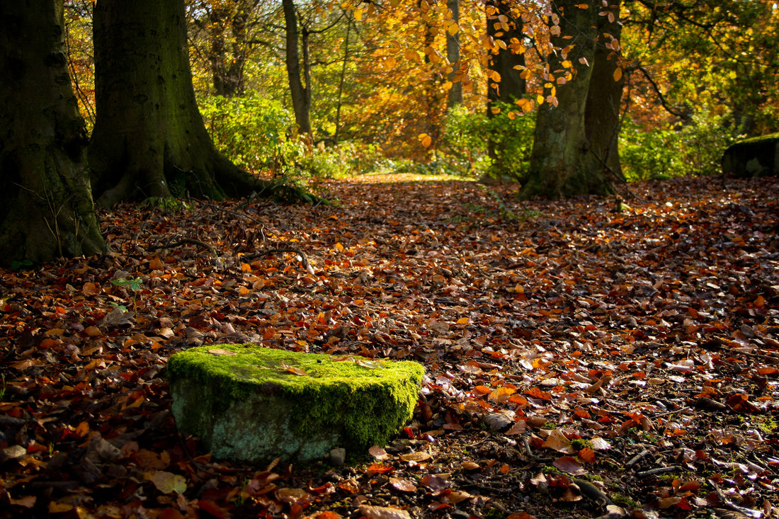 Ayurveda Doshas: best hair care practices