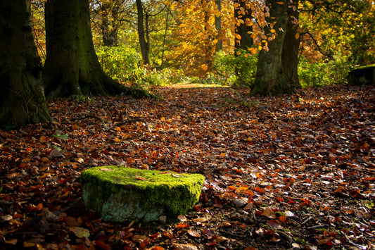 Ayurveda Doshas: best hair care practices