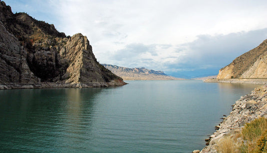 Ayurvedic Hair Oil: 5 reasons why you should use one