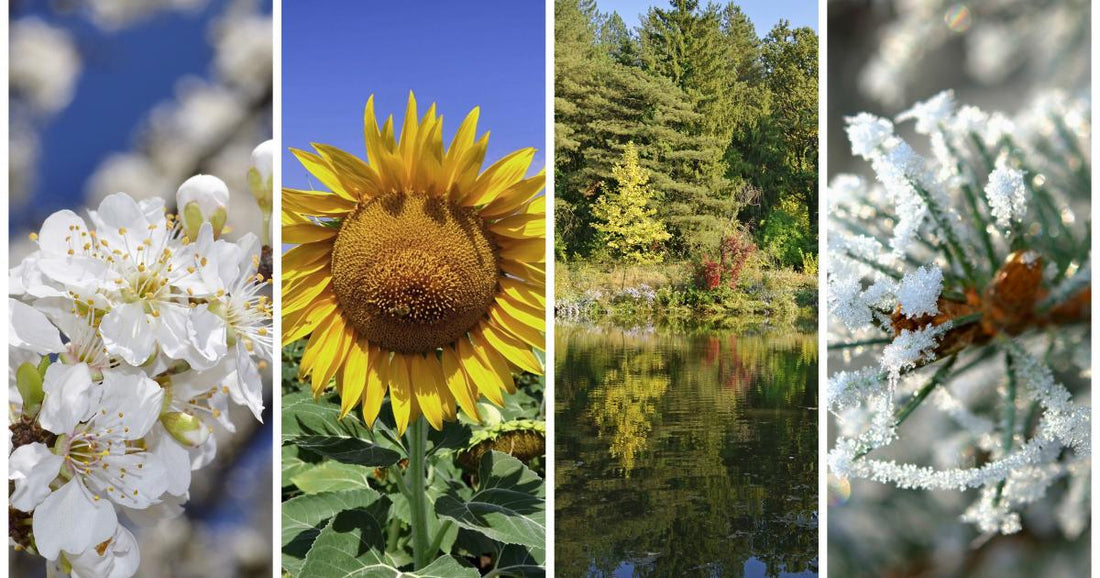 Ayurveda Guide to Health in Various Seasons