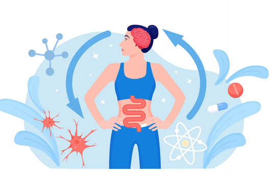 Gut Health: Ayurveda’s Take on Probiotics and Digestive Balance