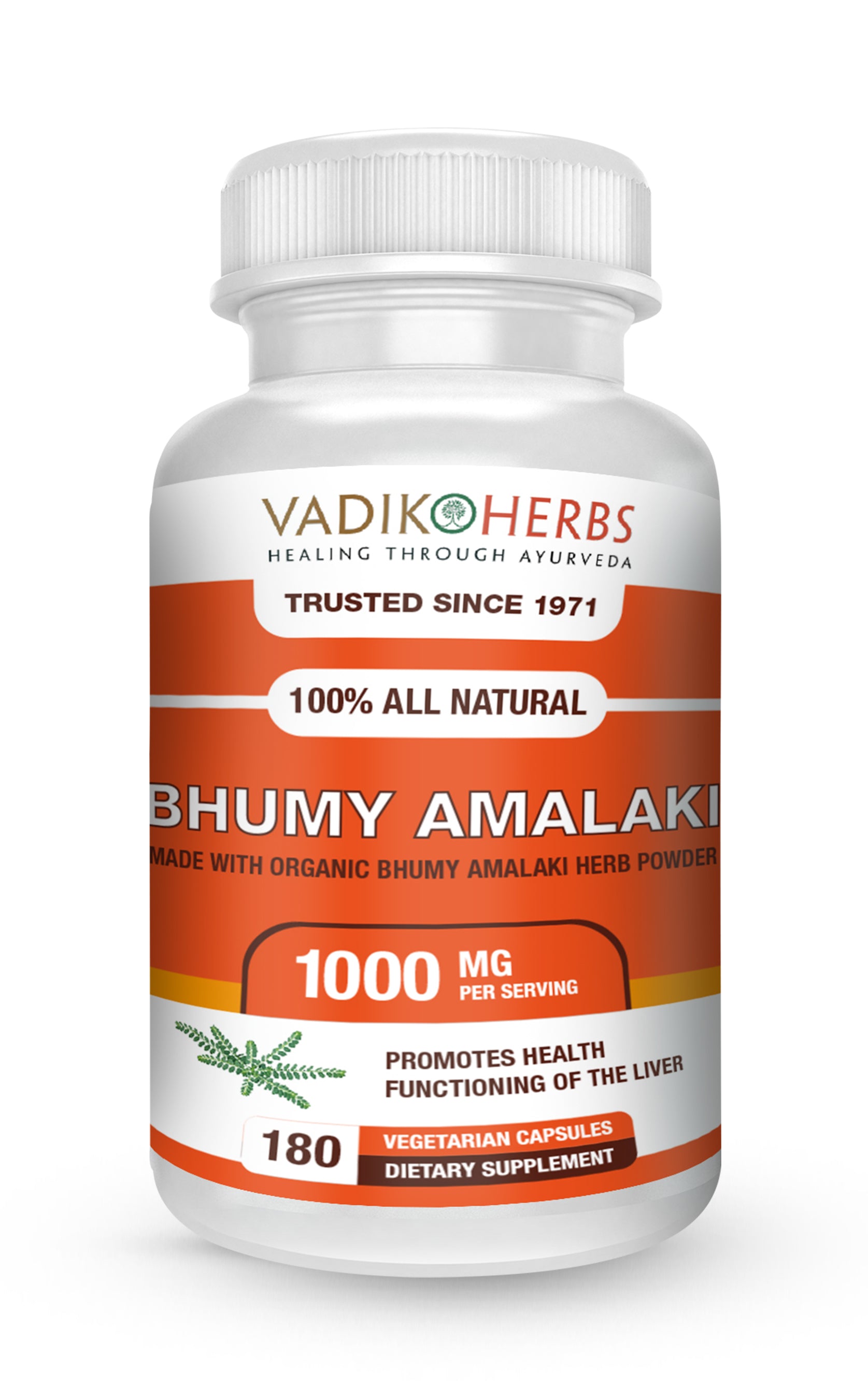 BHUMY AMALAKI HERB CAPSULES - Vadik Herbs