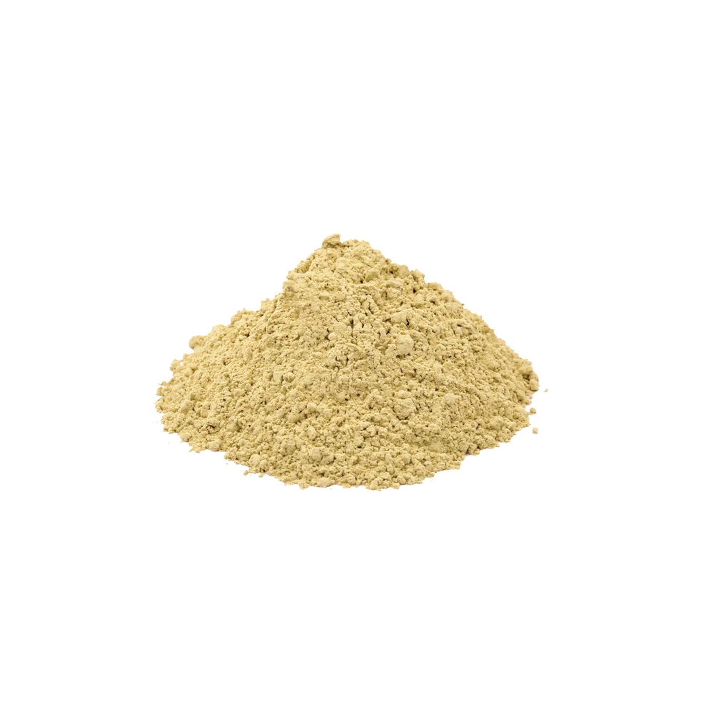 Amalaki, Amla fruit (Emblica officinalis) - Vadik Herbs