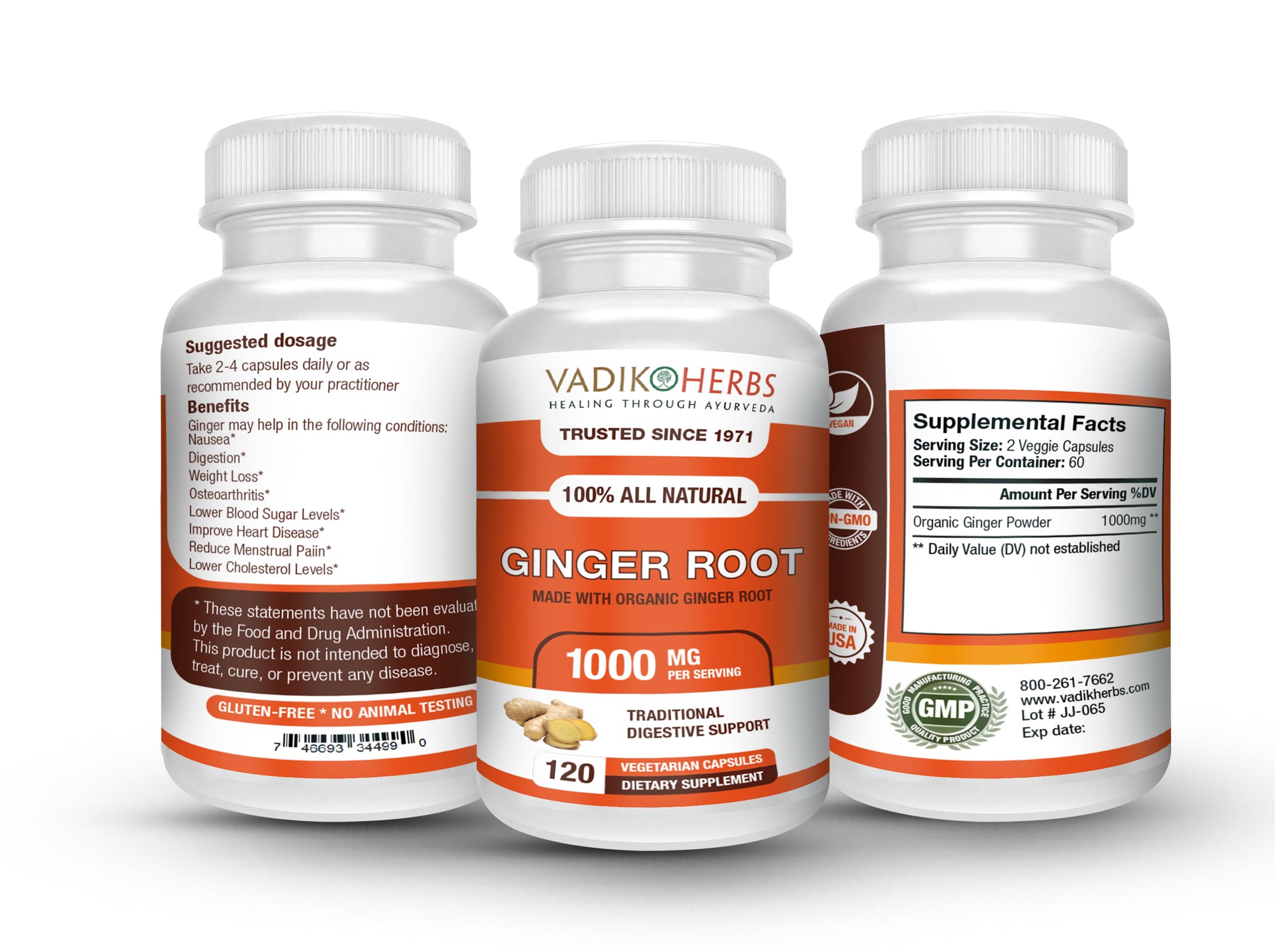 GINGER ROOT CAPSULES - Vadik Herbs