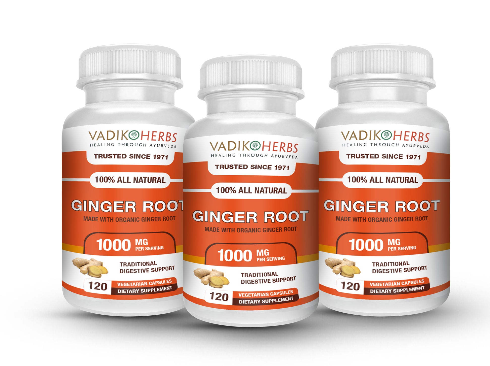 GINGER ROOT CAPSULES - Vadik Herbs