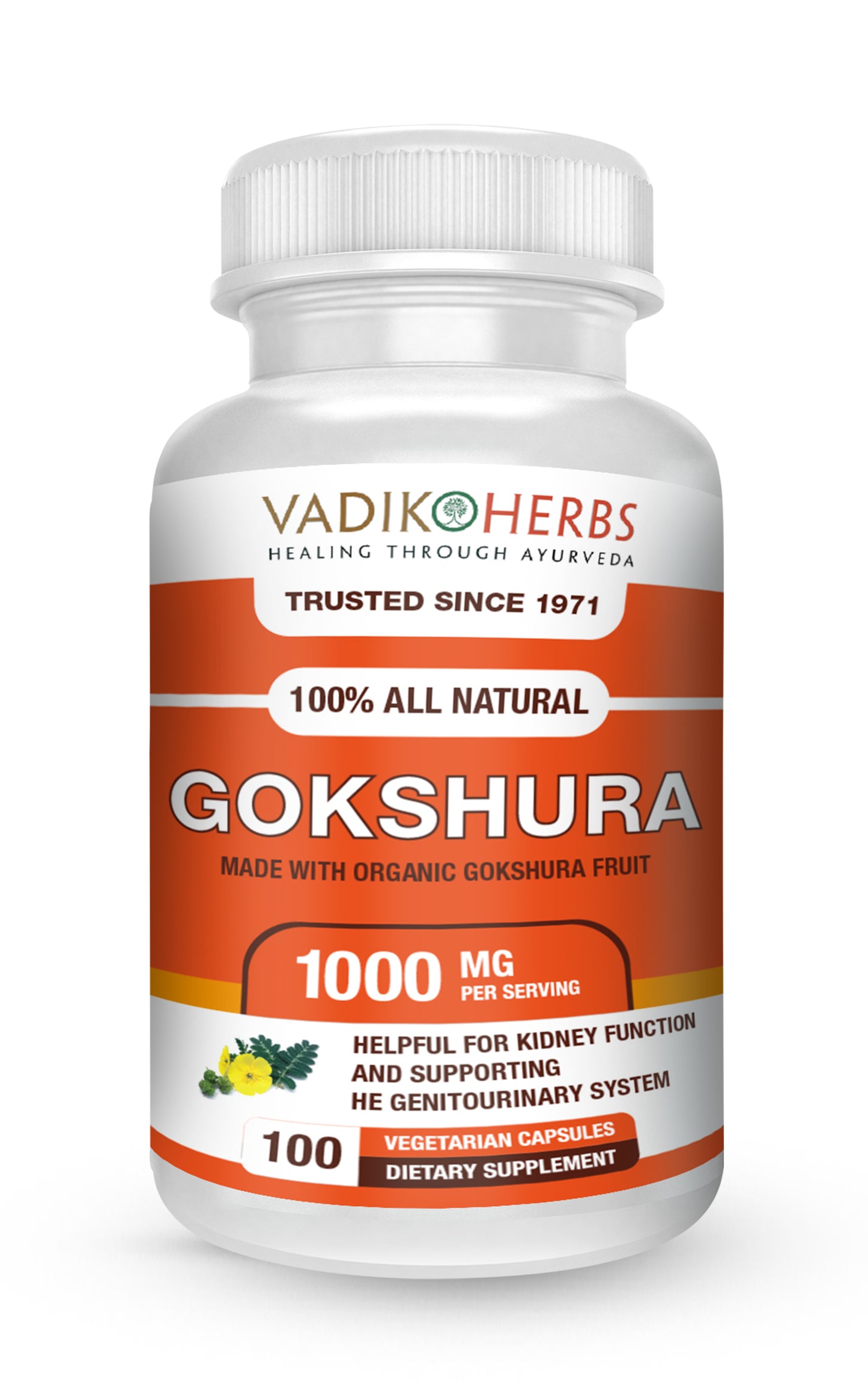 GOKSHURA FRUIT CAPSULES