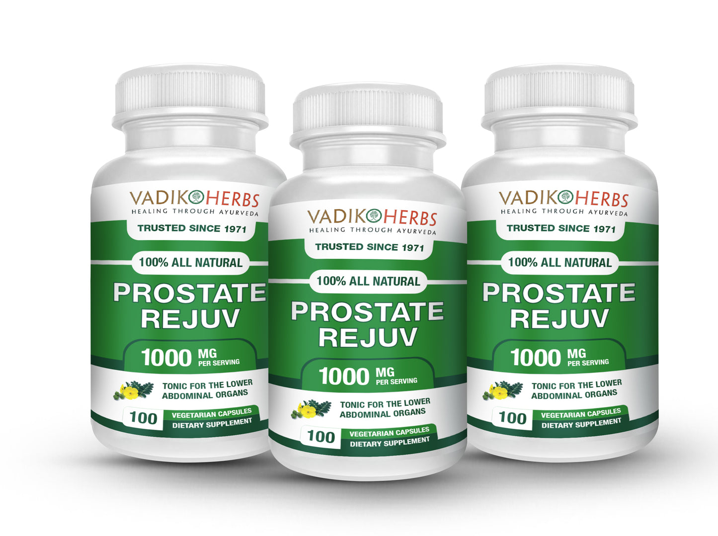 Prostate Rejuv - Vadik Herbs