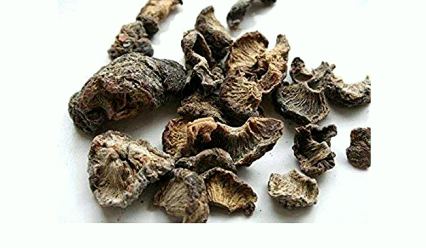 Amalaki, Amla fruit (Emblica officinalis) - Vadik Herbs