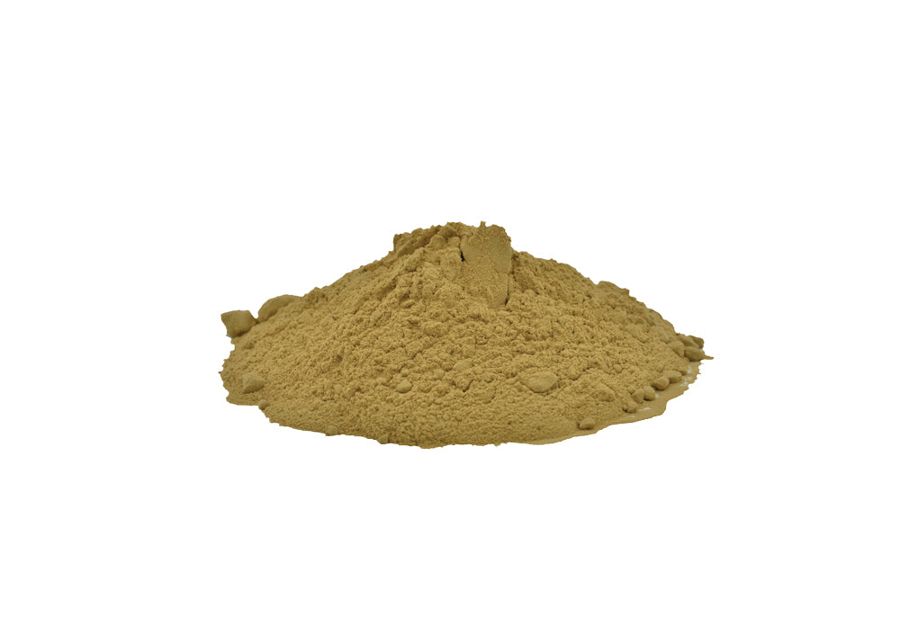 Bibhitaki fruit (Terminalia belerica) - Vadik Herbs