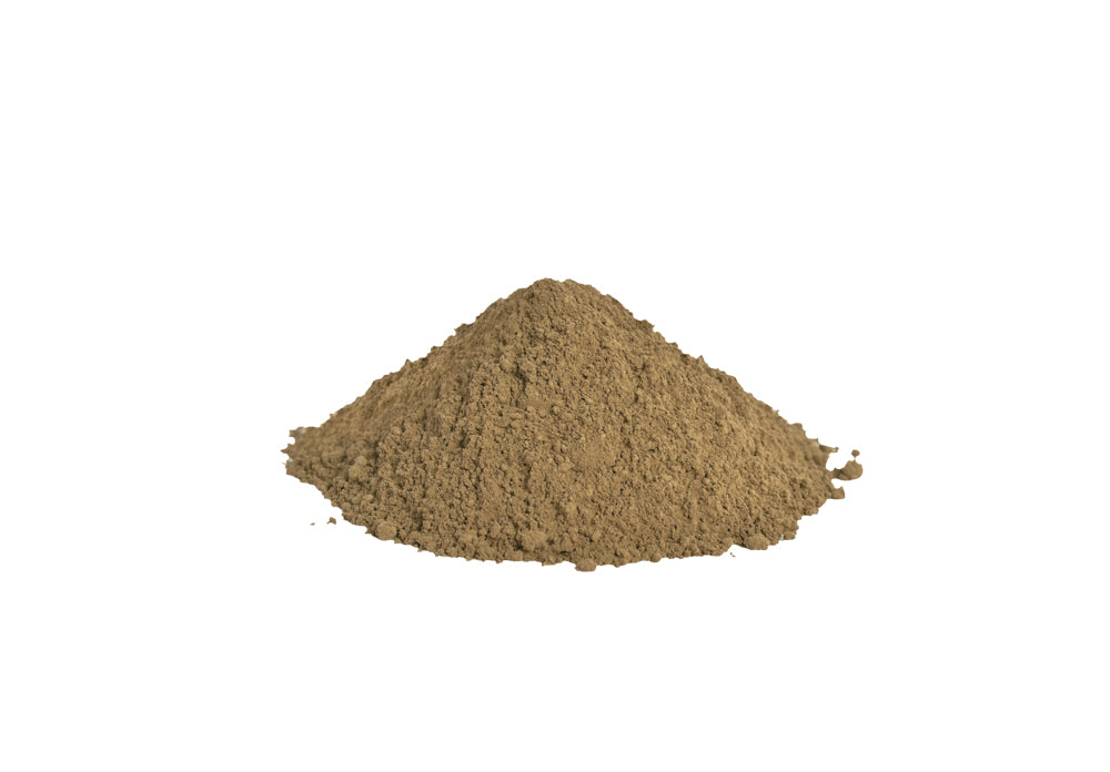 Brahmi herb (Bacopa monniera) - Vadik Herbs