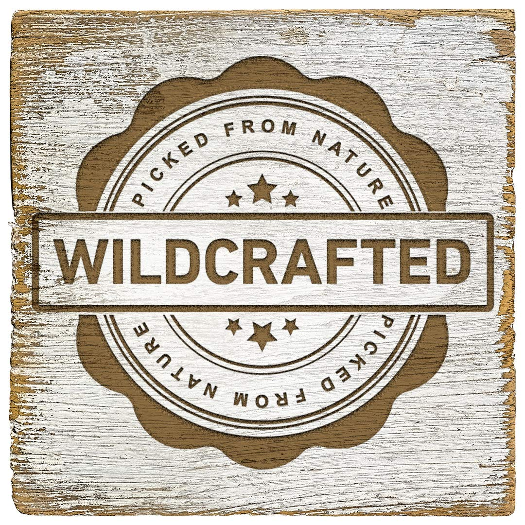 Bakuchi (Psoralea corylifolia) - Vadik Herbs