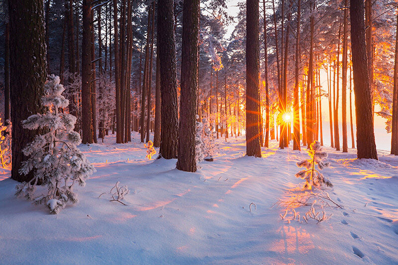 AYURVEDA AND WINTER WELLNESS