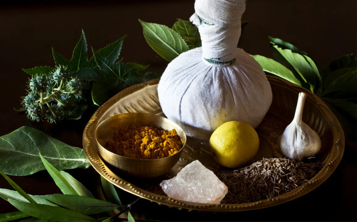 Ayurveda vs. Chinese Medicine What's the difference?