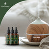 ARIA: <p>Cold/Flu Relief - Vadik Herbs