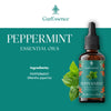 Peppermint Essential Oil - Vadik Herbs
